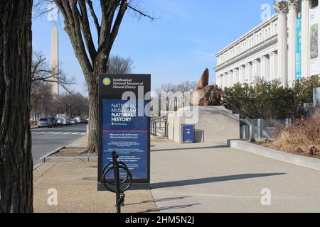 Eingang zum National Museum of Natural History, einem Smithsonian Museum, in Washington, DC Stockfoto