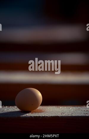 Frisch gepflückte Eier auf Holzbasis mit Frost im Winter. Nahaufnahme Stockfoto