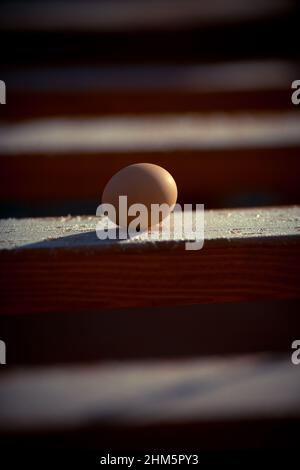 Frisch gepflückte Eier auf Holzbasis mit Frost im Winter. Nahaufnahme Stockfoto