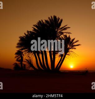 Wunderschöne Aussicht auf Umm Bab Beach QATAR Stockfoto