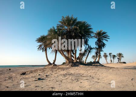 Wunderschöne Aussicht auf Umm Bab Beach QATAR Stockfoto