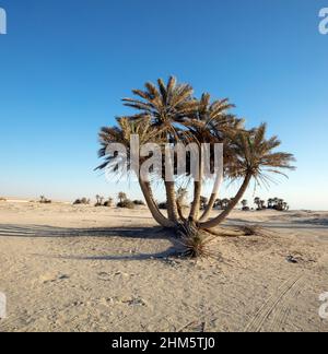 Wunderschöne Aussicht auf Umm Bab Beach QATAR Stockfoto
