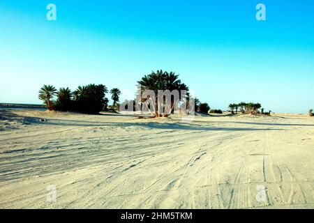Wunderschöne Aussicht auf Umm Bab Beach QATAR Stockfoto