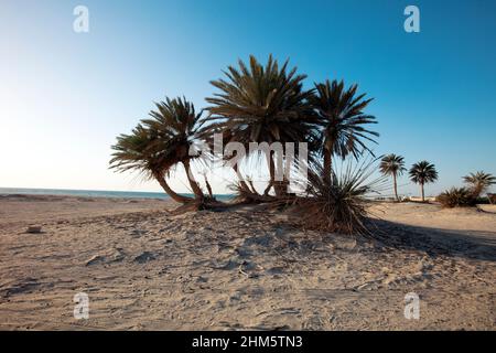 Wunderschöne Aussicht auf Umm Bab Beach QATAR Stockfoto