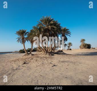 Wunderschöne Aussicht auf Umm Bab Beach QATAR Stockfoto