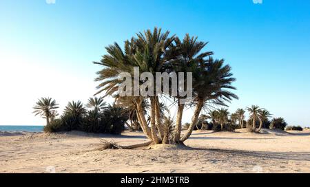 Wunderschöne Aussicht auf Umm Bab Beach QATAR Stockfoto