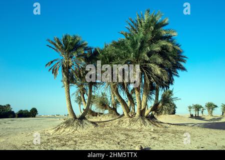 Wunderschöne Aussicht auf Umm Bab Beach QATAR Stockfoto