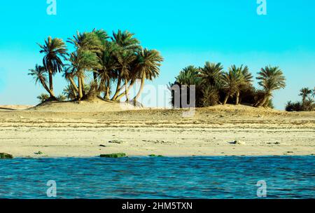 Wunderschöne Aussicht auf Umm Bab Beach QATAR Stockfoto