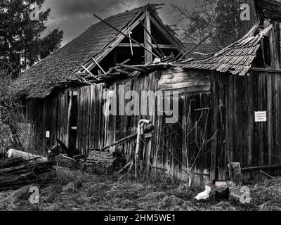 Eingestürzte, alte Scheune in einer eindringlichen ländlichen Landschaft im Mostviertel in Niederösterreich in Schwarz und Weiß Stockfoto