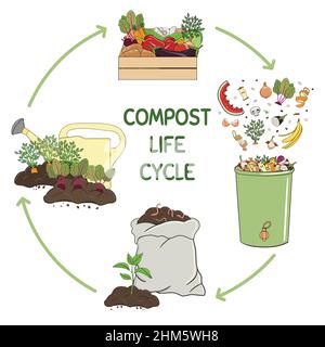 Infografik zum Kompost-Lebenskreislauf. Kompostierungsverfahren. Schema für das Recycling organischer Abfälle aus der Sammlung von Küchenabfällen zur Verwendung von Kompost für die Landwirtschaft. Stock Vektor