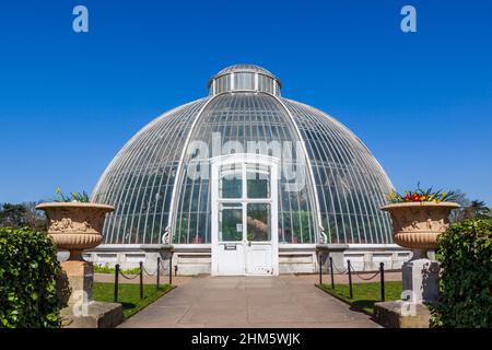 Außenansicht, Palm House Greenhouse im Frühjahr, Royal Botanic Gardens, Kew Gardens, Kew, London, England, Vereinigtes Königreich Stockfoto