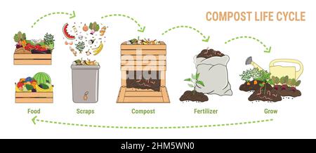 Infografik zum Kompost-Lebenskreislauf. Kompostierungsverfahren. Schema für das Recycling organischer Abfälle aus der Sammlung von Küchenabfällen zur Verwendung von Kompost für die Landwirtschaft. Stock Vektor