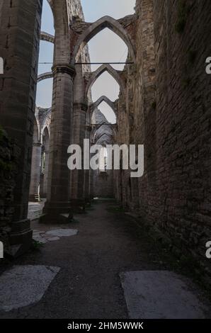 Blick von innen, Blick in den Himmel auf die Ruine Sankta Katarina, eine imposante gotische Ruine in Visby in Gotland, Schweden Stockfoto