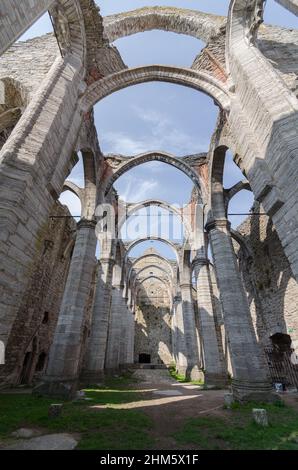Blick von innen, Blick in den Himmel auf die Ruine Sankta Katarina, eine imposante gotische Ruine in Visby in Gotland, Schweden Stockfoto
