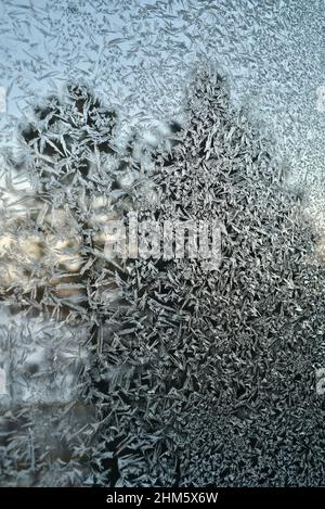 Eiskalte Frost-Kristalle Muster auf Glasfenster des Hauses in der Landschaft, mit Kiefern immergrünen Bäumen draußen während des Sonnenuntergangs, Browntown, Wisconsin, USA. Stockfoto