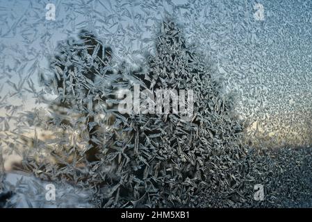 Eiskalte Frost-Kristalle Muster auf Glasfenster des Hauses in der Landschaft, mit Kiefern immergrünen Bäumen draußen während des Sonnenuntergangs, Browntown, Wisconsin, USA. Stockfoto