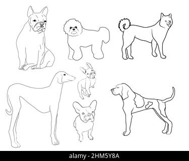 Set von Hunden, Line Art. Stock Vektor