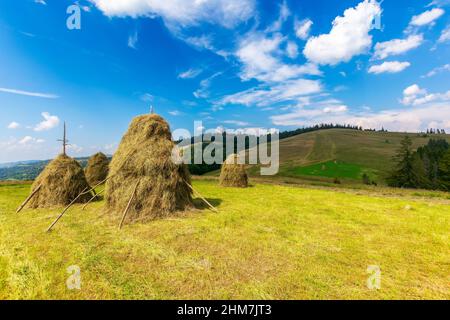 haystacks auf dem grasbewachsenen Feld auf dem Hügel. Schöne ländliche Landschaft in den karpaten an einem sonnigen Sommertag. Flauschige Wolken am blauen Himmel in e Stockfoto