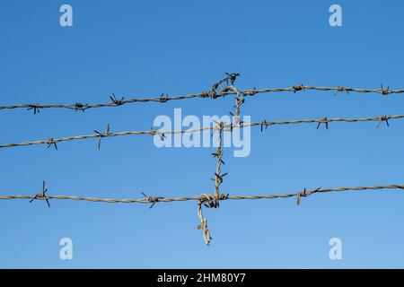 Nahaufnahme eines Teils des Gefängniszauns mit Stacheldraht am blauen Himmel Stockfoto