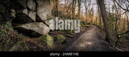 Ein Panoramabild eines groben Fußweges im historischen Naturreservat Kennall Valle in Ponsanooth in Cornwall in Großbritannien. Stockfoto
