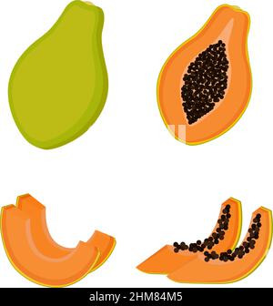 Papaya, ganze Früchte, halbe und Scheiben. Vektorgrafik Stock Vektor