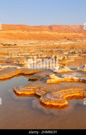 Dead Sea Israel Salz Inseln Sonnenaufgang Morgen Hochformat Landschaft Natur Urlaub Stockfoto