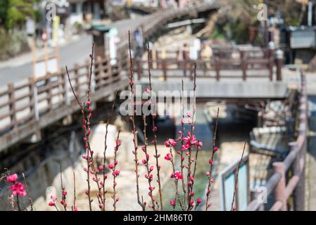 Abgelegenes Bergdorf Yunomine Onsen im Frühling, die älteste Onsenstadt Japans. Stockfoto