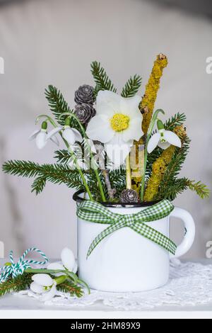 Winterstrauß von helleborus niger, Schneeglöckchen und Tannenzweige in Vintage-Emaille-Tasse Stockfoto