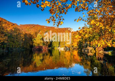 Park mit einem See in Herbstfarben in der Kurstadt Rajecke Teplice in der Slowakei, Europa. Stockfoto