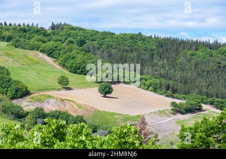 Rocca d'Orcia (Italien) - das kleine mittelalterliche Dorf der Toskana mit altem Burgturm, in der Gemeinde Castiglione d'Orcia, Val d'Orcia Stockfoto