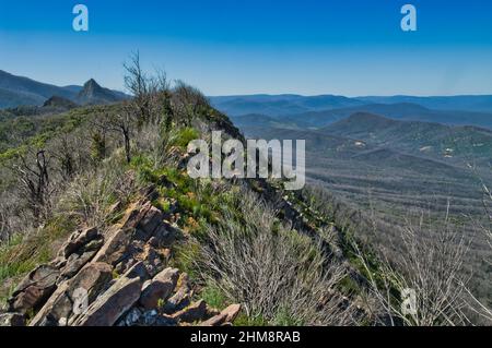Fahren Sie über den Kamm der Cathedral Range zwischen Healesville und Alexandra, Victoria, Australien. Panoramablick auf die bewaldeten Hügel in der Region Stockfoto