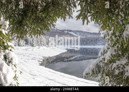 Lago Palù avvolto da una copiosa nevicata, Valmalenco, Lombardia, Italia Stockfoto