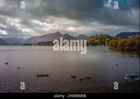 Herbstansicht von Catbells vom Ufer des Derwent Water in Keswick im Lake District. Stockfoto