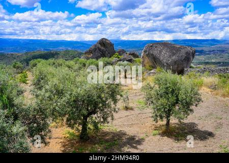 Felsformationen um das Dorf Idanha-a-Velha, Serra da Estrela, Beira Alta, Portugal Stockfoto