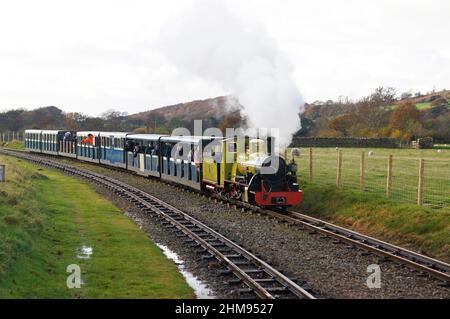 Ravenglass und Eskdale Railway Lokomotive Northern Rock in Richtung eines Zuges, der sich der Eskdale Green Station nähert Stockfoto