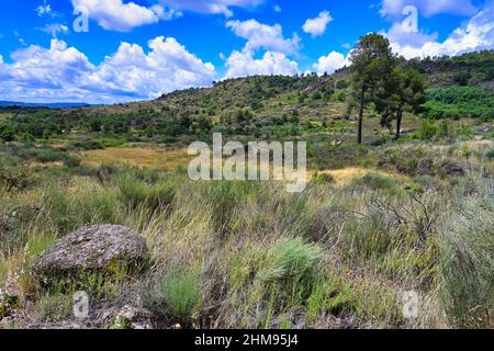 Landschaft um Sortelha, Serra da Estrela, Beira Alta, Portugal Stockfoto