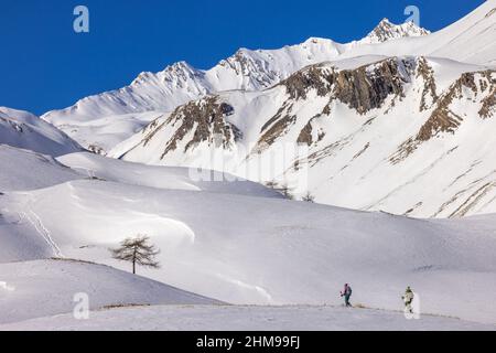 Frankreich. Hautes-Alpes (05) Ecrins National Park, Skigebiet Serre Chevalier, Schneeschuhwandern auf einer Höhe von mehr als 2000 m mit Rachel Bourg, mitten in der Berge Stockfoto