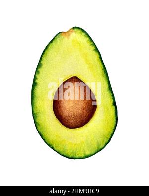 Avocado Aquarell Zeichnung, schneiden Avocado Scheibe und Mutter. Isolierter, weißer Hintergrund. Hochwertige Illustration Stockfoto