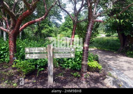 Holzschilder für Woodland & Streamside Spaziergänge, Betty's Tea Room und das Arboretum im RHS Garden Harlow Carr, Harrogate, Yorkshire, Großbritannien. Stockfoto
