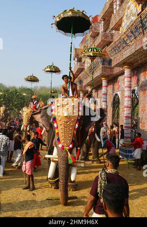 Elefant bei Trichur, Pooram-Festival Kerala, Indien Stockfoto