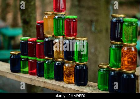 Die Rinde des Baumes ist mit Münzen auf dem Hintergrund der Sonne bedeckt, eine alte magische Tradition des Glücks, Tourismus in der Ukraine. Stockfoto