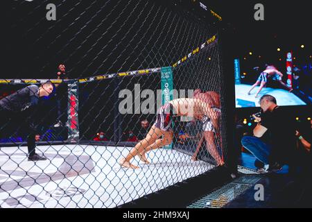 Zwei starke muskulöse professionelle MMA-Kämpfer kämpfen, sie sind im Clinch, ringen im Parterre auf dem Achteck-Boden. Stockfoto