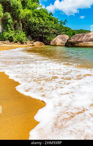 Meeresschaum, der über den Sand am Strand, umgeben von Regenwald, in Ilha Grande (Big Island), Rio de Janeiro, vorrückt Stockfoto