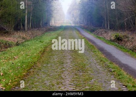 la troue d'arenberg - der Arenberg-Graben Stockfoto