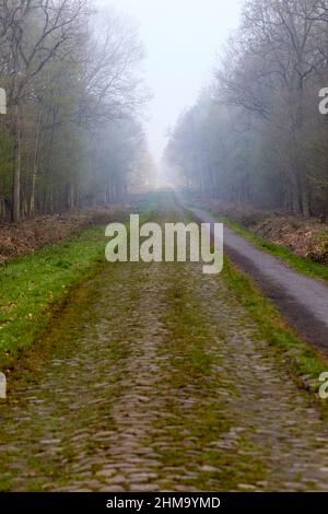 la troue d'arenberg - der Arenberg-Graben Stockfoto