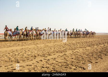 Afghanische und pakistanische Kameljokeys beim Training für das Kamelrennen in Al Wathbah, Abu Dhabi Stockfoto