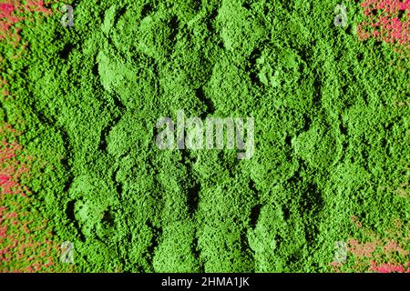 Draufsicht auf traditionellen japanischen pulverförmigen Matcha-Tee auf hellrosa Hintergrund verstreut Stockfoto