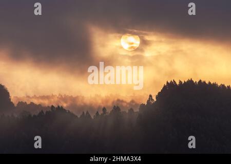Helle Sonne, die am Himmel über dichtem Nadelwald mit Bäumen in wilder Natur bei nebligen Wetter zur Abendzeit scheint Stockfoto