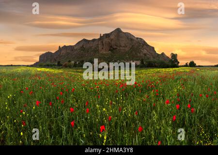 Farbenfrohe, blühende Blumen wachsen auf grünem Feld in der Nähe von rauhen Felsklippen gegen den wolkigen Himmel an sonnigen Sommertagen in der Natur Stockfoto