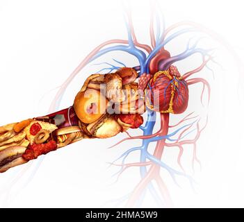 Herzinfarkt und Ernährung oder koronare Erkrankungen Risiko-Symbol als schlechtes Ernährungskonzept mit einem Herz-Kreislauf-Organ von fettigen hohen Salz ungesund gestanzt. Stockfoto